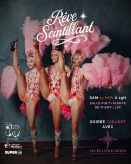 Spectacle du 15/11/25 – 14,00€ TTC – TVA 20%